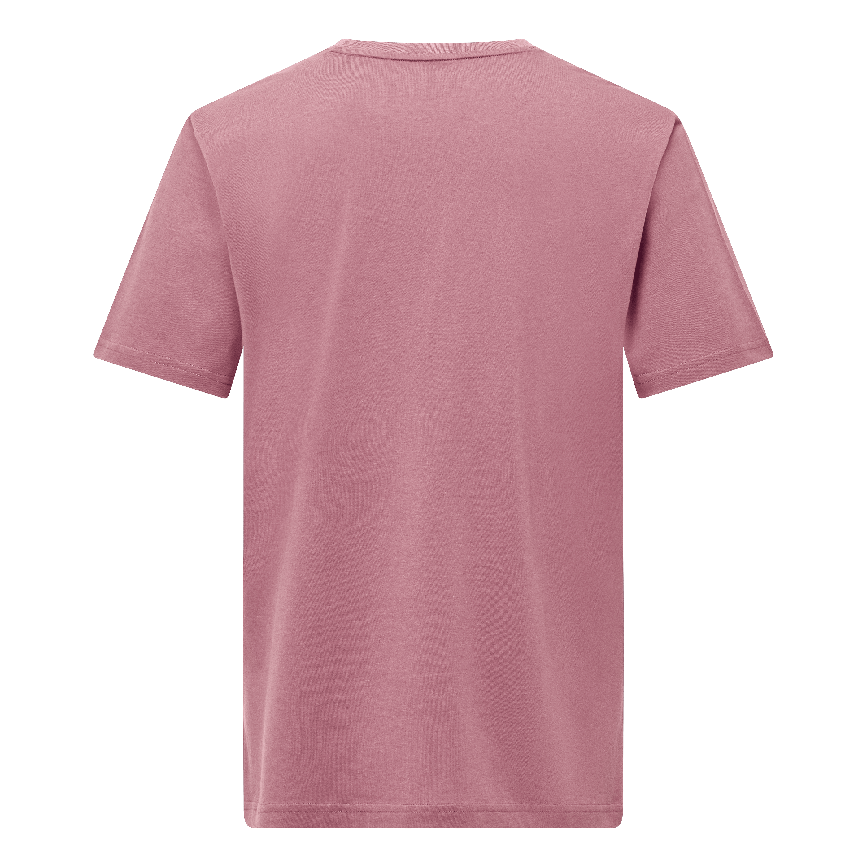 T-shirt Uomo con Ricamo Logo Eagle