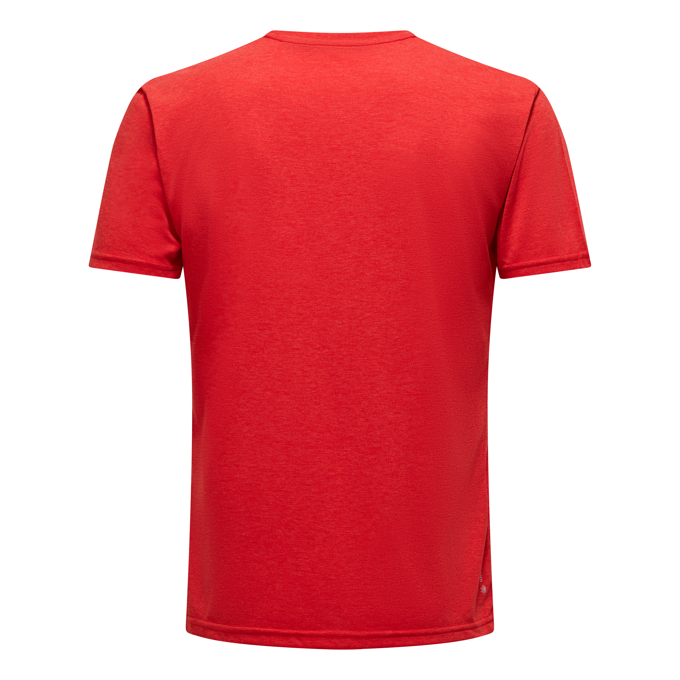 T-shirt uomo Puez Graphic Dry